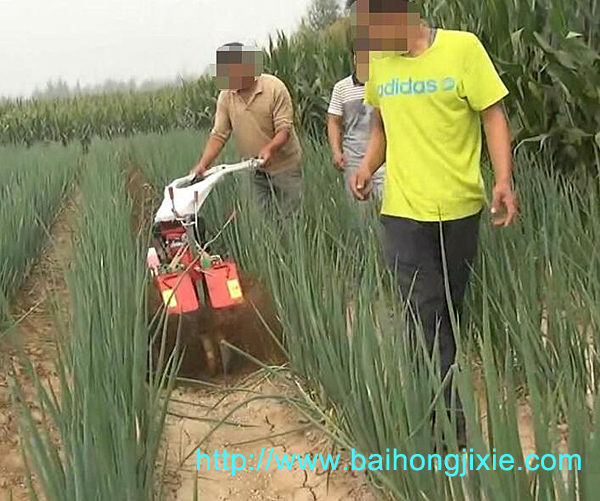 开沟草莓视频污网址在大葱地中的应用